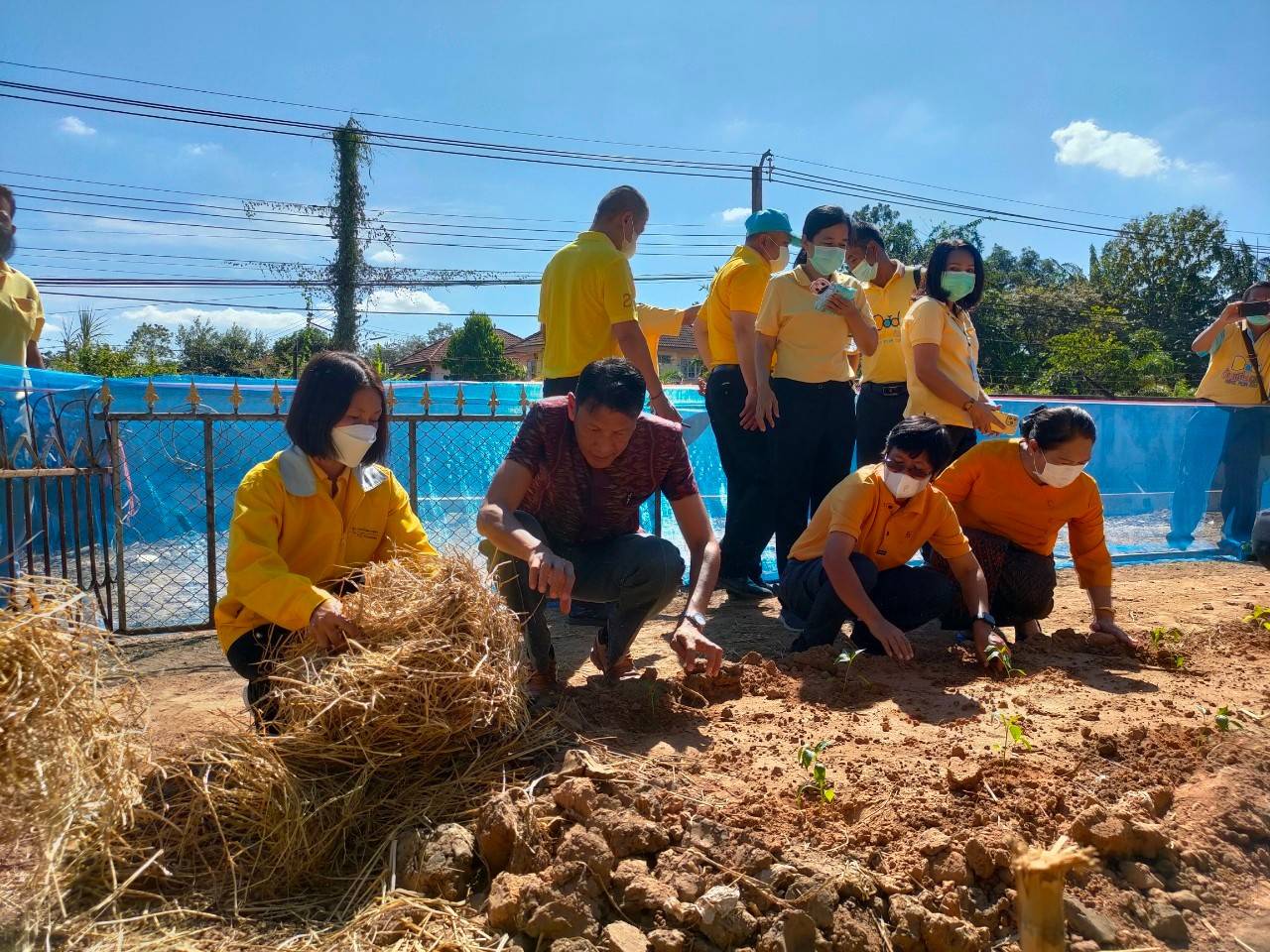 พช.ขอนแก่น :  ร่วมกิจกรรมประกาศผลสำเร็จ ปลูกพืช ปลูกผัก ปลูกรักให้กัน เพื่อสร้างความมั่นคงทางอาหารขยายผลการปลูกผักสวนครัวจากวัดสู่ชุมชนตามหลัก “บวร”