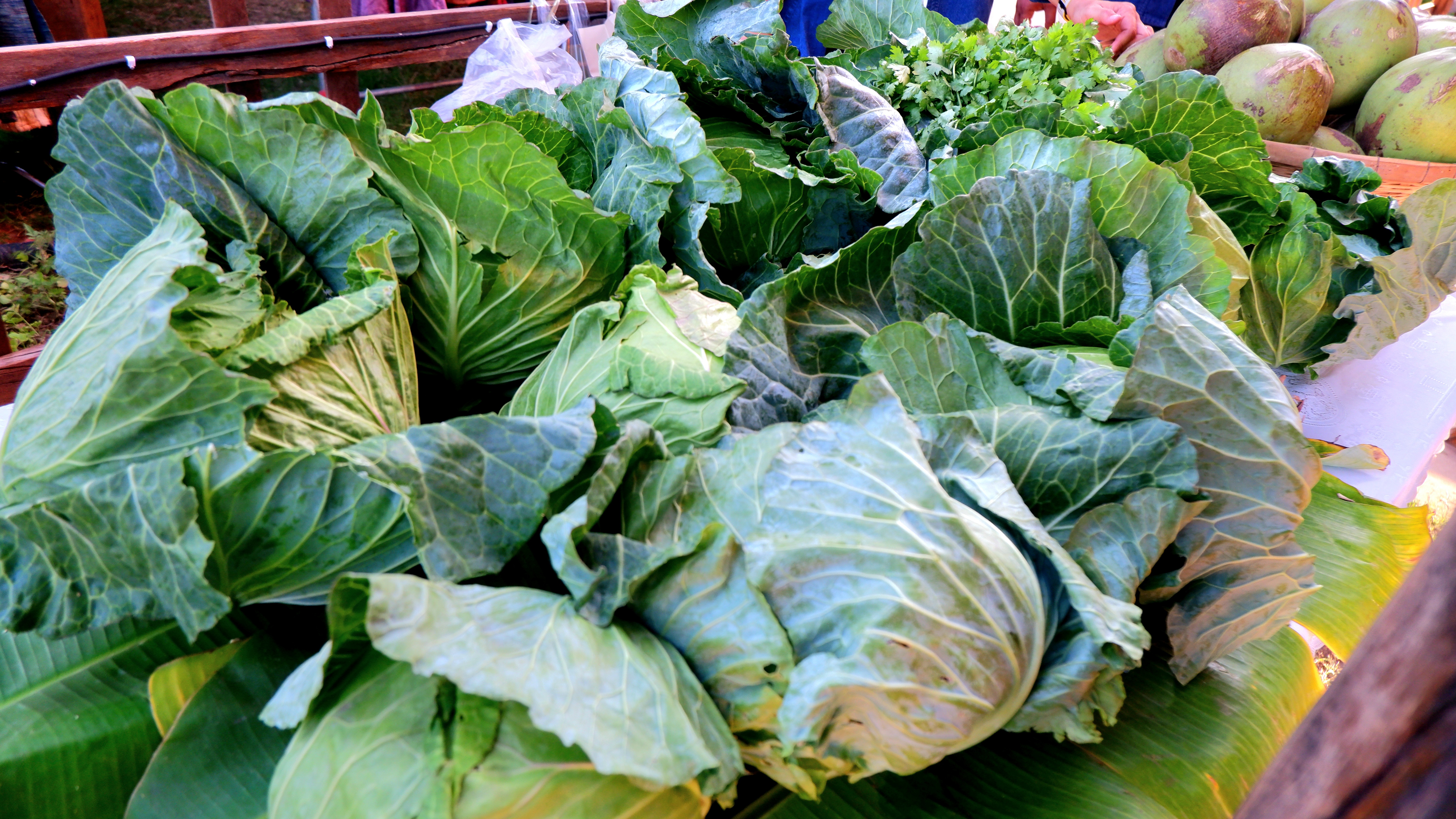 พช. ขอนแก่น : ร่วมเปิดงาน “ตลาดนัดผักปลอดภัย ผ้าไหม ไก่ย่าง จังหวัดขอนแก่น” กระตุ้นเศรษฐกิจชุมชน
