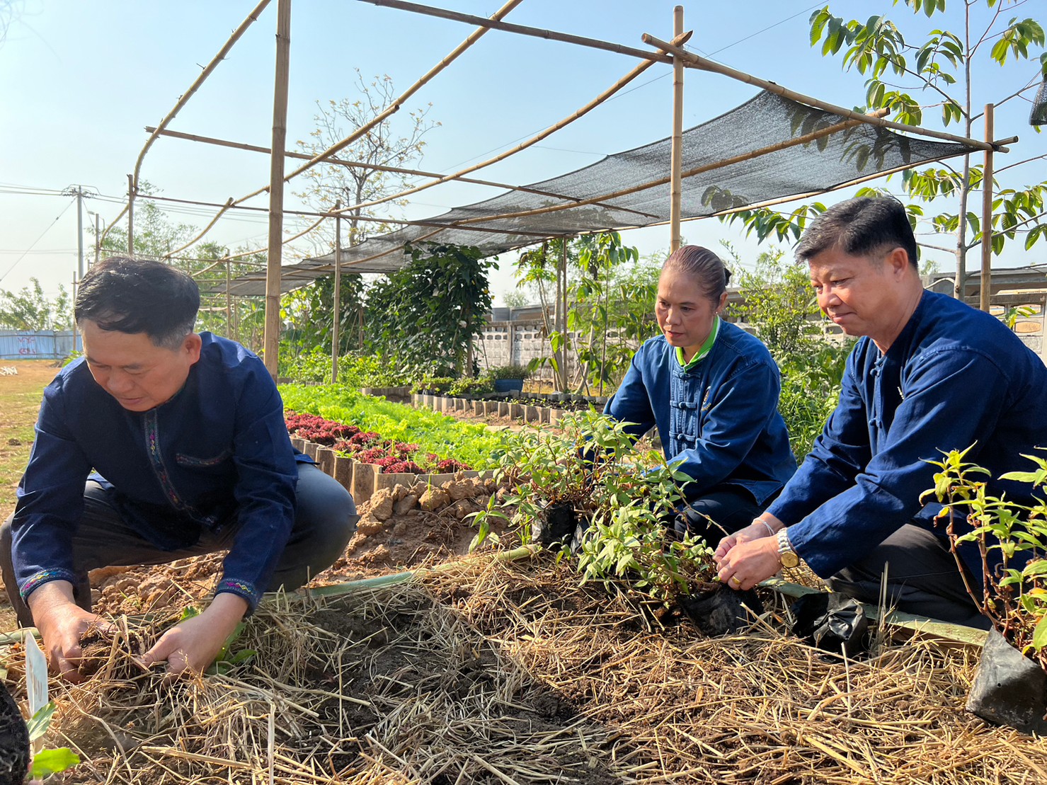 ? พช.ขอนแก่น : พ่อเมืองขอนแก่น เปิดจวนชวนปลูกพืชผักสวนครัว “ผู้นำต้นแบบตัวอย่างที่เห็นจริง” ตามแนวพระราชดำริของสมเด็จพระกนิษฐาธิราชเจ้า กรมสมเด็จพระเทพรัตนราชสุดาฯ สยามบรมราชกุมารีสู่ปฏิบัติการปลูกผักสวนครัว เพื่อสร้างความมั่นคงทางอาหาร