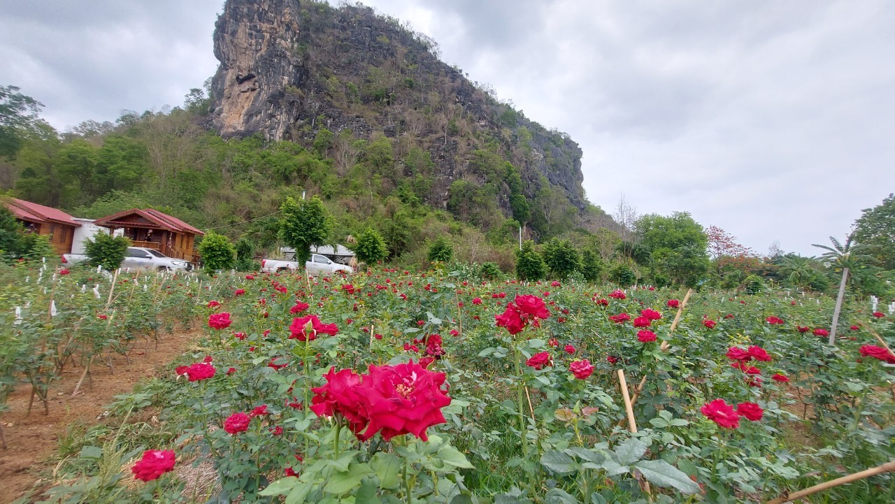 ? พช.ขอนแก่น : ลงพื้นที่พัฒนาคุณภาพชีวิตเกษตรกรและประชาชน ขับเคลื่อนวาระจังหวัดขอนแก่น
