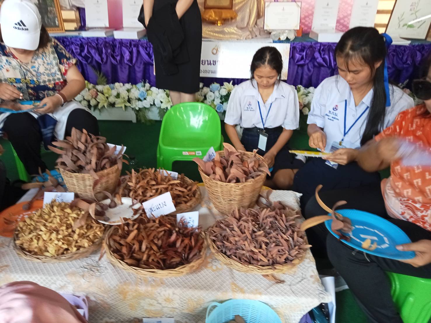 ? พช.ขอนแก่น : ร่วมพิธีเปิด “สืบสานงานอนุรักษ์ โฮมฮัก รักทรัพยากร” ณ บริเวณด้านหน้าอาคารแก่นกาลพฤกษ์ มหาวิทยาลัยขอนแก่น