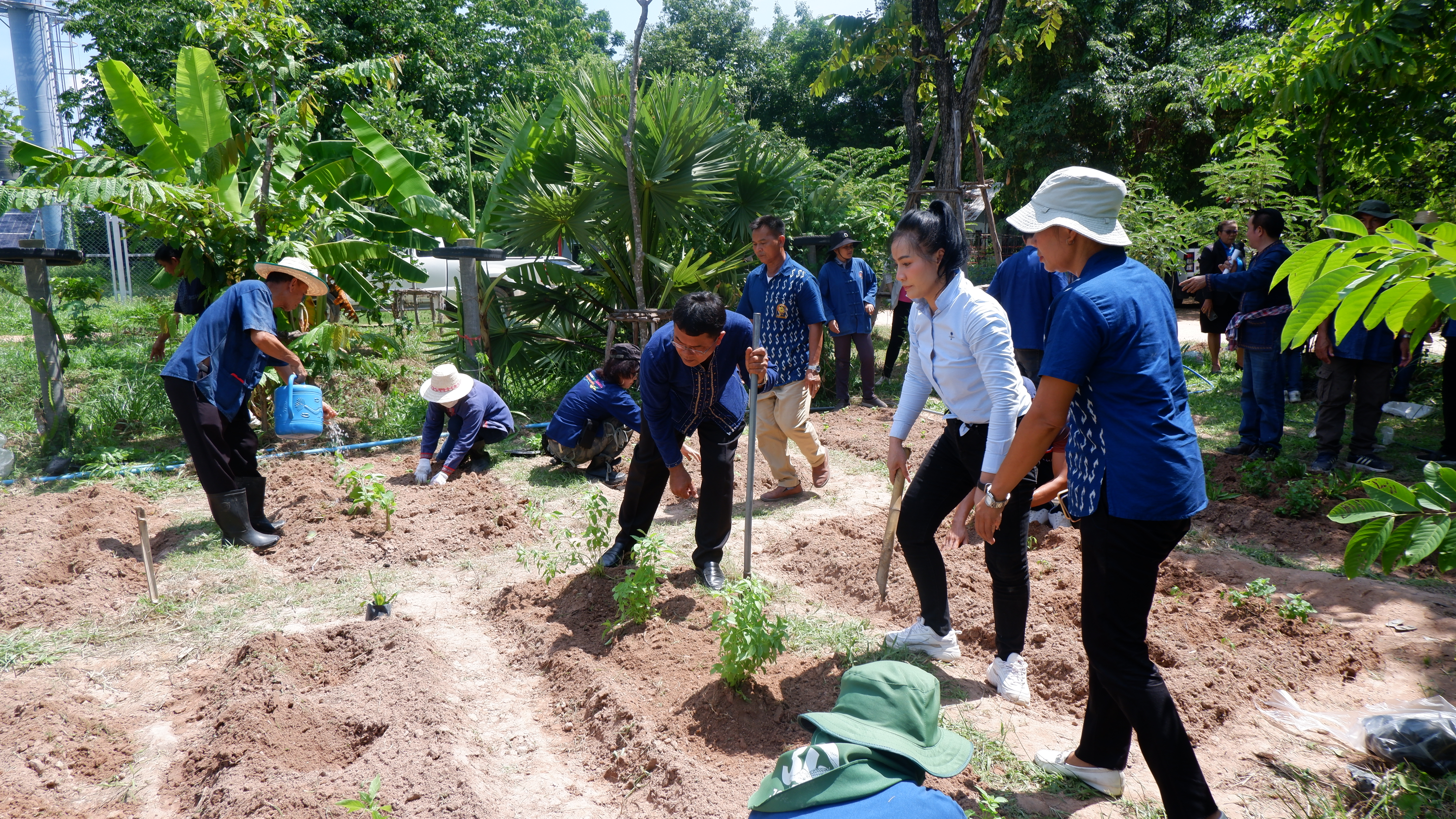 ? พช.ขอนแก่น : อำเภอเมืองขอนแก่น ดำเนินงานขับเคลื่อนโครงการวัด ประชา รัฐ สร้างสุข ระดับปฏิบัติการเชิงพื้นที่ “กิจกรรมการปลูกผักสวนครัว เพื่อสร้างความมั่นคงทางอาหาร”