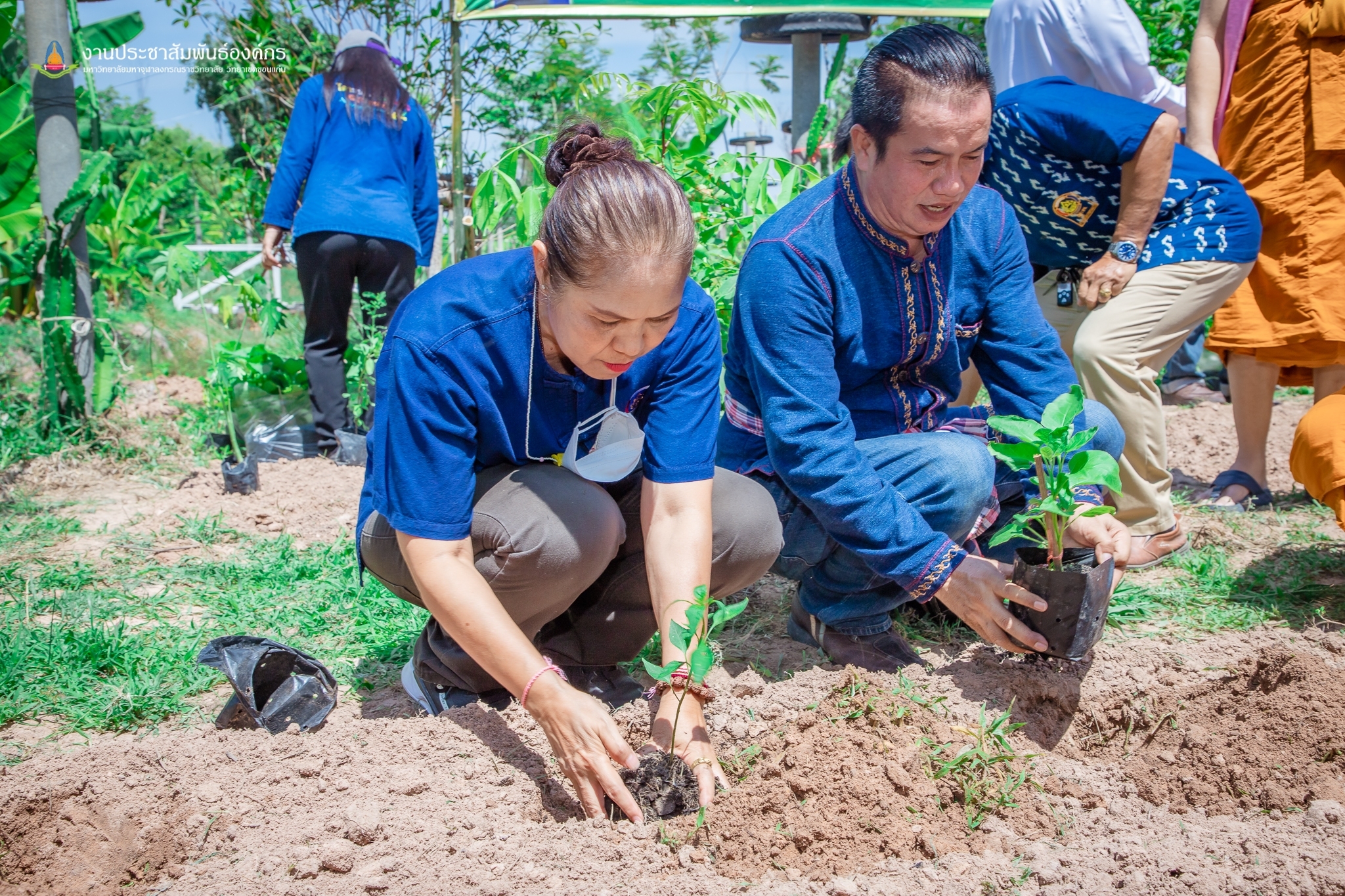 ? พช.ขอนแก่น : อำเภอเมืองขอนแก่น ดำเนินงานขับเคลื่อนโครงการวัด ประชา รัฐ สร้างสุข ระดับปฏิบัติการเชิงพื้นที่ “กิจกรรมการปลูกผักสวนครัว เพื่อสร้างความมั่นคงทางอาหาร”