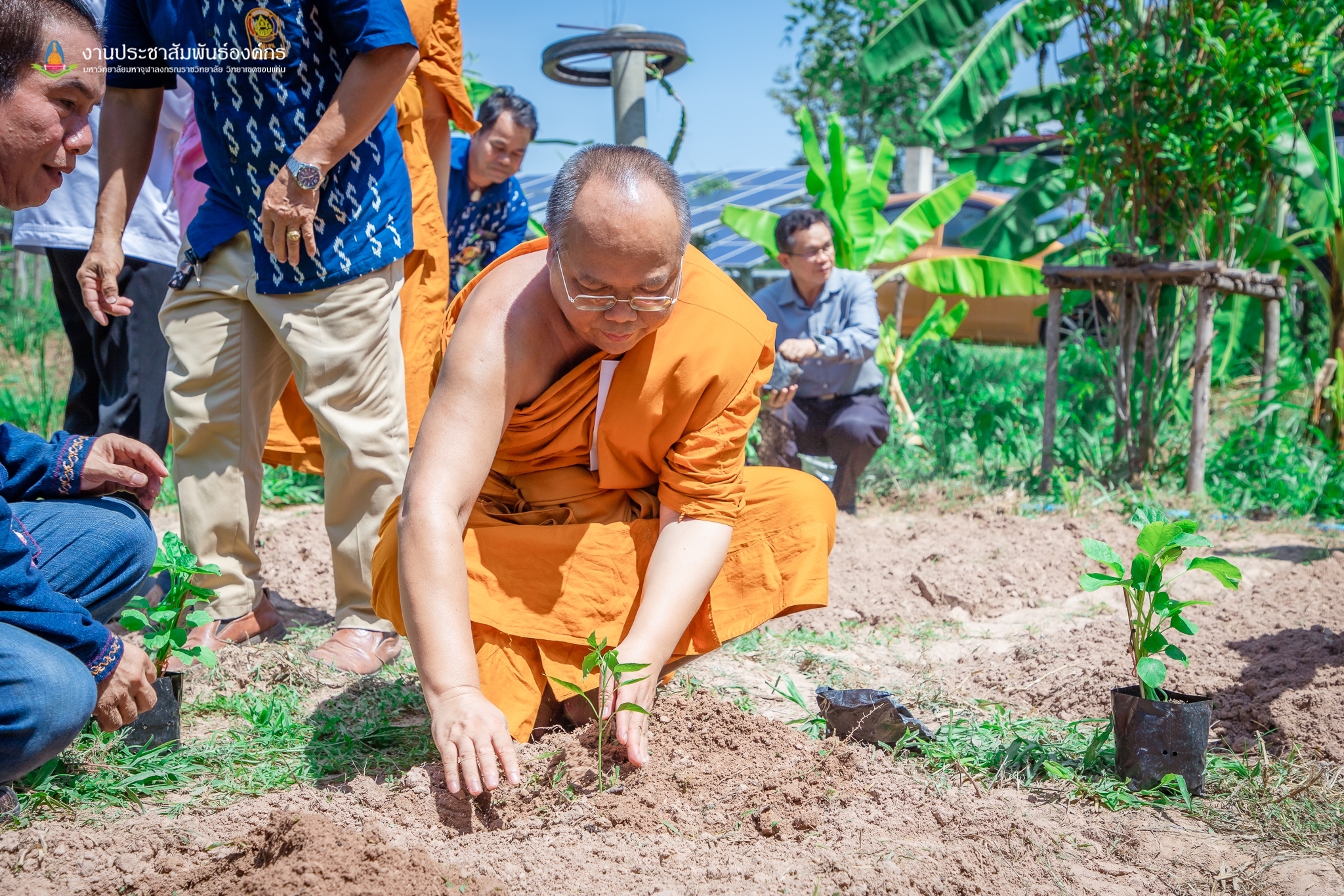 ? พช.ขอนแก่น : อำเภอเมืองขอนแก่น ดำเนินงานขับเคลื่อนโครงการวัด ประชา รัฐ สร้างสุข ระดับปฏิบัติการเชิงพื้นที่ “กิจกรรมการปลูกผักสวนครัว เพื่อสร้างความมั่นคงทางอาหาร”