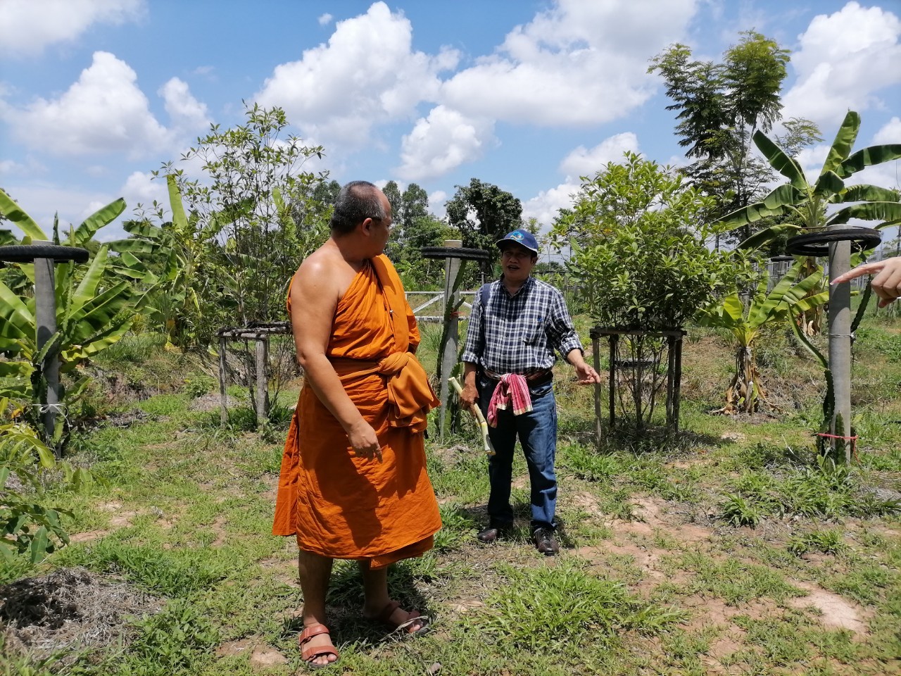 พช.ขอนแก่น : อำเภอเมืองขอนแก่น เตรียมแปลงปลูกผักน้อมนำพระราชดำริของสมเด็จพระกนิษฐาธิราชเจ้า กรมสมเด็จพระเทพรัตนราชสุดาฯ สยามบรมราชกุมารี สู่ปฏิบัติการปลูกผักสวนครัวเพื่อสร้างความมั่นคงทางอาหาร