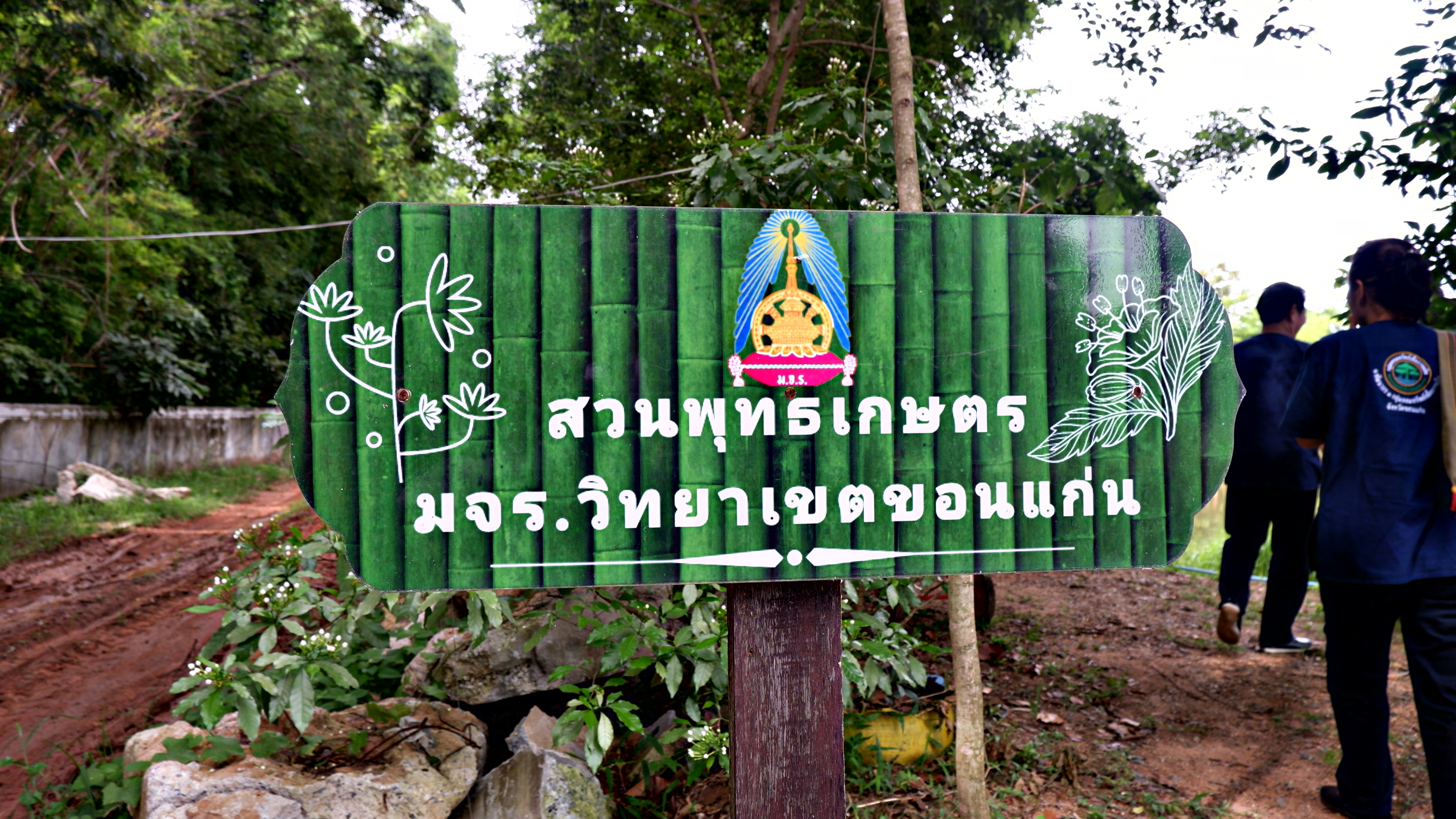 จังหวัดขอนแก่น : จัดกิจกรรม “สืบสานประเพณีปลูกข้าวแปลงนาสาธิต “ปลูกข้าววันแม่ เก็บเกี่ยววันพ่อ”