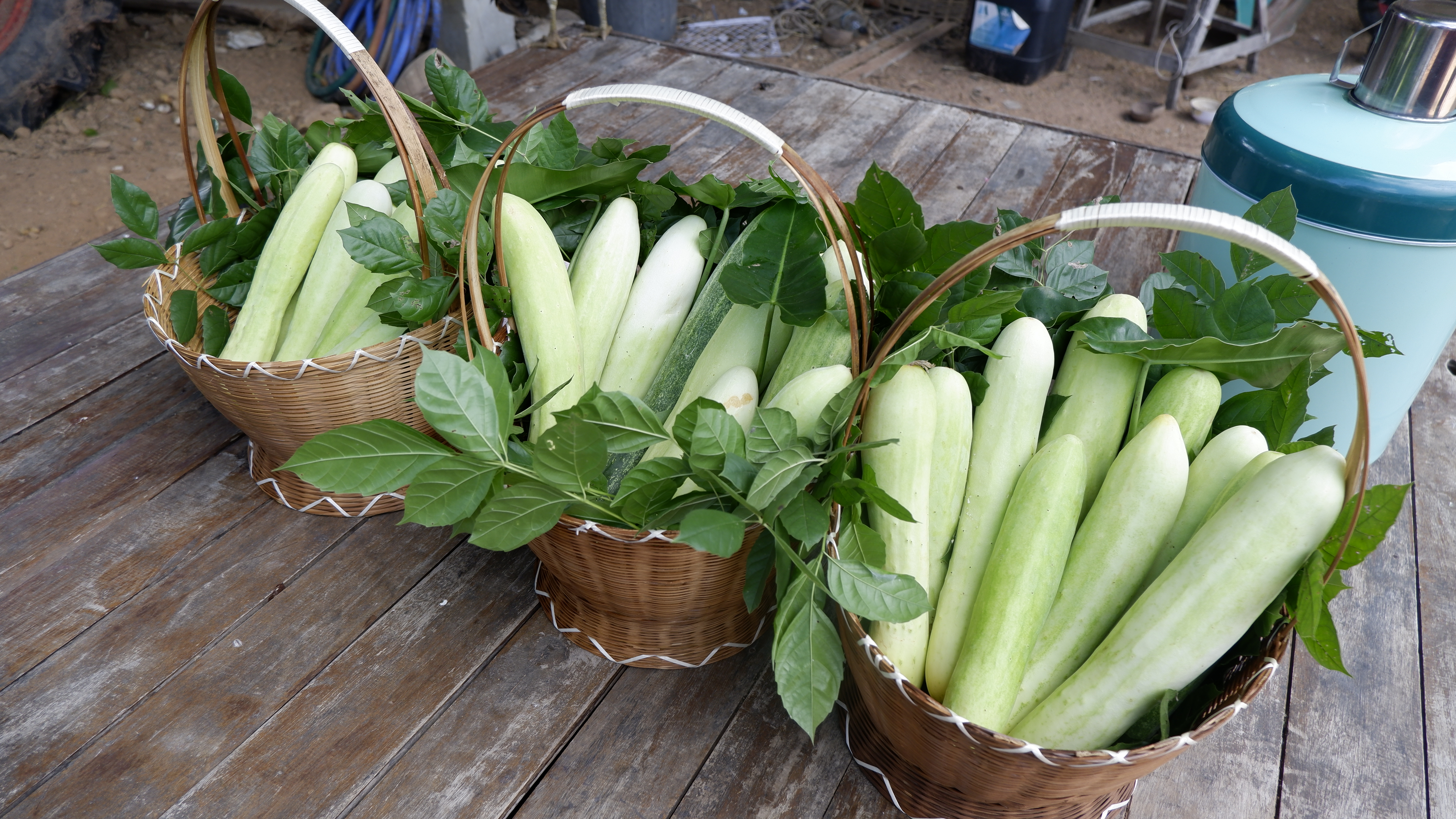 จังหวัดขอนแก่น : ผู้ว่าฯ ขอนแก่น ลงพื้นที่ให้กำลังใจสนับสนุนครอบครัวแรงงานไทยในอิสราเอล อำเภอหนองสองห้อง