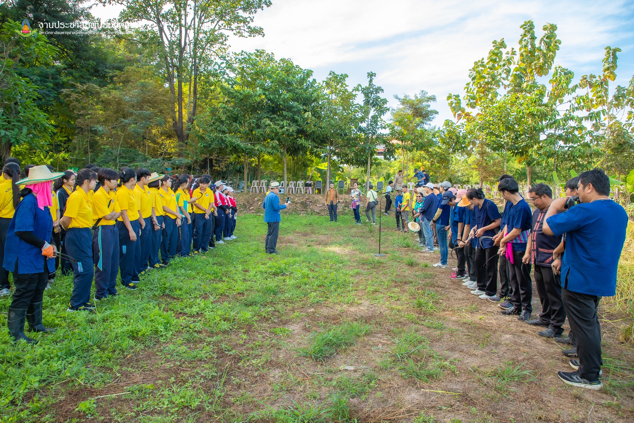 พช.ขอนแก่น ร่วมกิจกรรมลงแขกเกี่ยวข้าว กิจกรรม”สืบสานประเพณีลงแขกเกี่ยวข้าว ปลูกวันแม่ เกี่ยววันพ่อ”