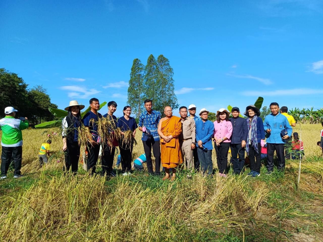 พช.ขอนแก่น ร่วมกิจกรรมลงแขกเกี่ยวข้าว กิจกรรม”สืบสานประเพณีลงแขกเกี่ยวข้าว ปลูกวันแม่ เกี่ยววันพ่อ”