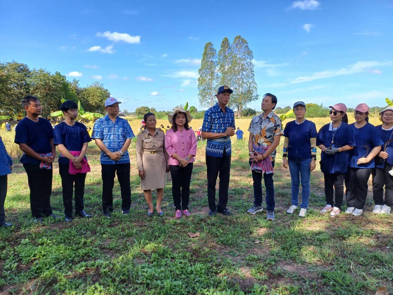 พช.ขอนแก่น ร่วมกิจกรรมลงแขกเกี่ยวข้าว กิจกรรม”สืบสานประเพณีลงแขกเกี่ยวข้าว ปลูกวันแม่ เกี่ยววันพ่อ”