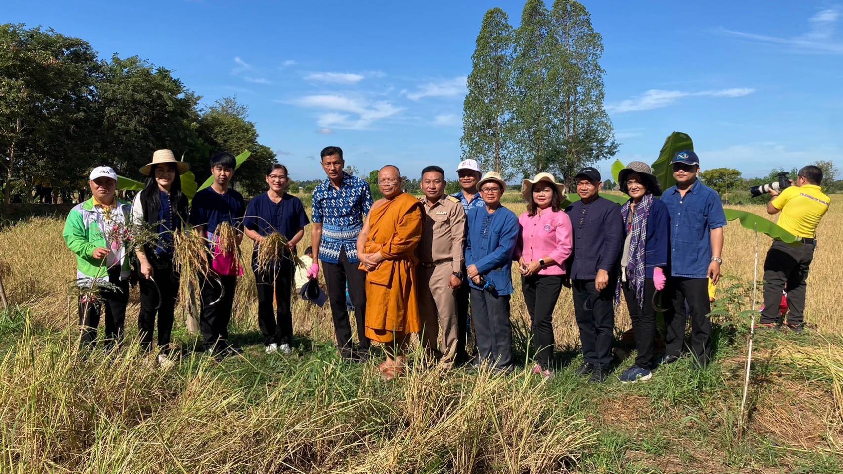 พช.ขอนแก่น ร่วมกิจกรรมลงแขกเกี่ยวข้าว กิจกรรม”สืบสานประเพณีลงแขกเกี่ยวข้าว ปลูกวันแม่ เกี่ยววันพ่อ”