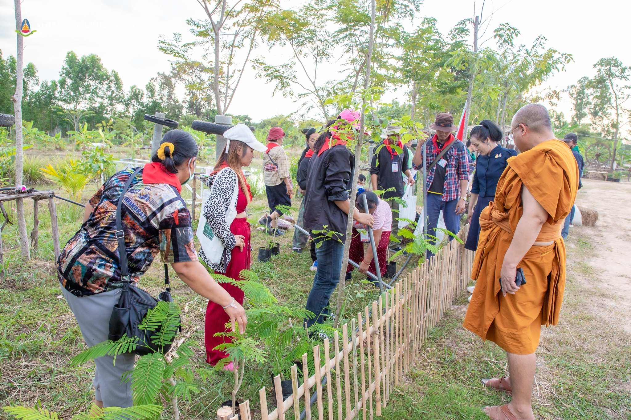 พช.ขอนแก่น : จัดฝึกอบรมโครงการพัฒนาหมู่บ้านเศรษฐกิจพอเพียง กิจกรรมที่ 1.1 อบรมแกนนำขับเคลื่อนหมู่บ้านเศรษฐกิจพอเพียง (วันที่3)