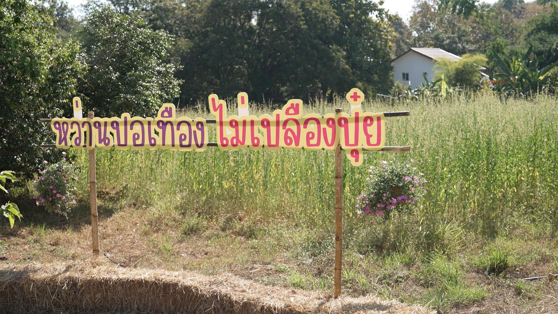 จังหวัดขอนแก่น : จัดงานในวันดินโลก 5 ธันวาคม 2566