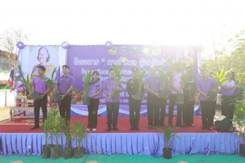 จังหวัดขอนแก่น : จัดกิจกรรมขับเคลื่อนการน้อมนำแนวพระราชดำริของสมเด็จพระกนิษฐาธิราชเจ้า กรมสมเด็จพระเทพรัตนราชสุดาฯ สยามบรมราชกุมารี “ทางนี้มีผล ผู้คนรักกัน” เพื่อสร้างความมั่นคงทางอาหาร ประจำปี 2567
