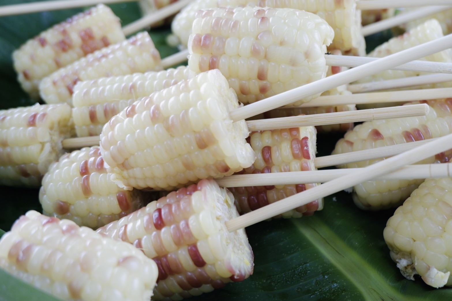ผู้ตรวจราชการกรมการพัฒนาชุมชน เขตตรวจราชการที่ 12 (นางนวลจันทร์ ศรีมงคล) ลงพื้นที่ตรวจติดตามผลการดำเนินงานตามภารกิจสำคัญกรมการพัฒนาชุมชน จังหวัดขอนแก่น