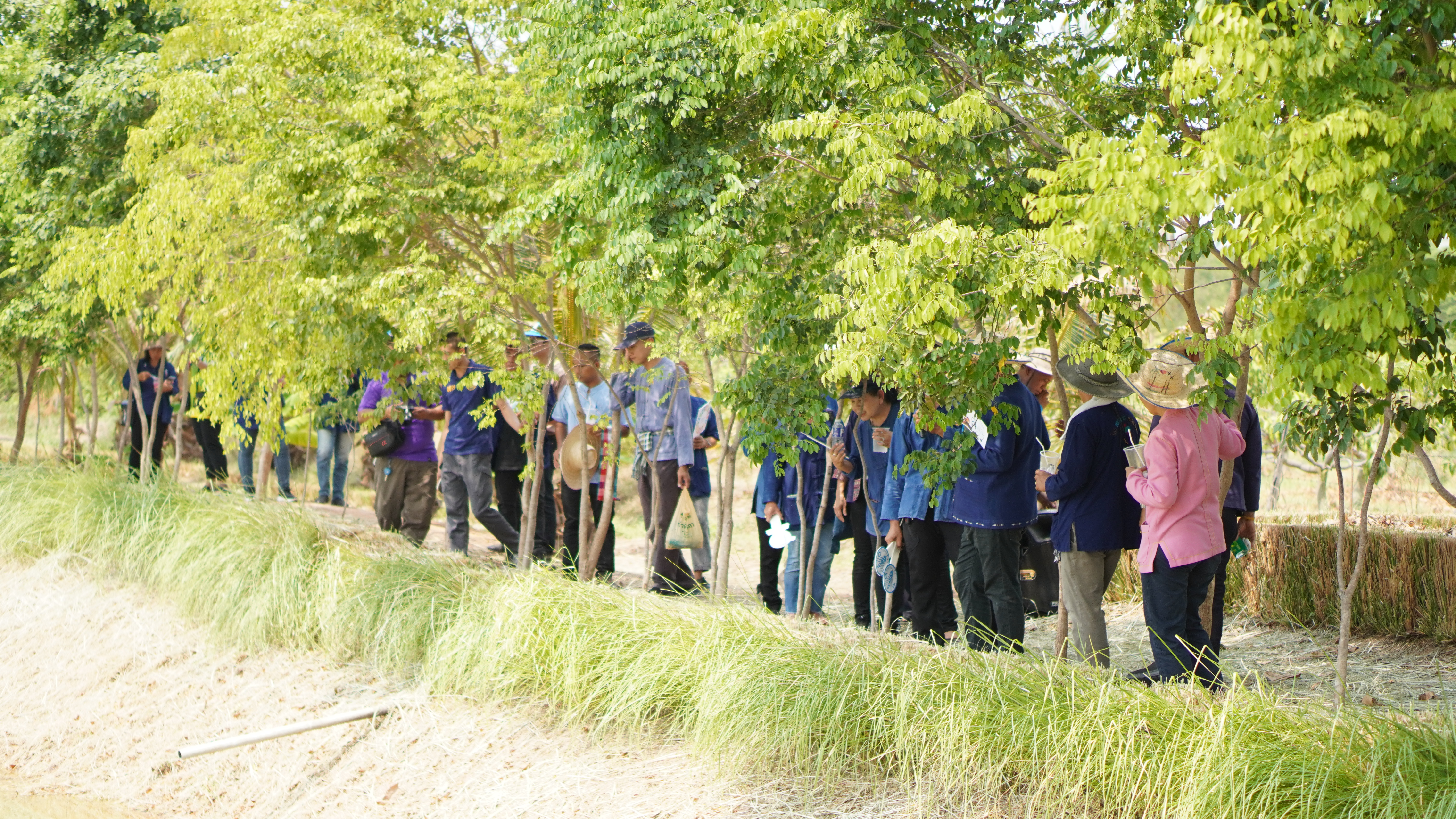 พช.ขอนแก่น : จัดกิจกรรม “เอามื้อสามัคคี ทำความดี ถวายเป็นพระราชกุศล” เนื่องในโอกาสวันฉัตรมงคล