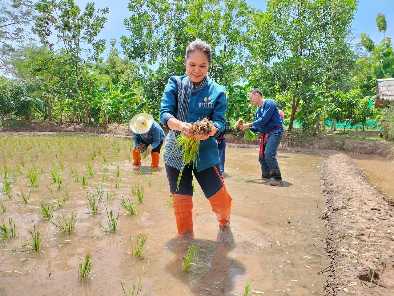 พช.ขอนแก่น : น้อมนำหลักปรัชญาของเศรษฐกิจพอเพียงผ่านการดำเนินโครงการเฉลิมพระเกียรติพระบาทสมเด็จพระเจ้าอยู่หัว เนื่องในโอกาสมหามงคลเฉลิมพระชนมพรรษา 6 รอบ 28 กรกฎาคม 2567 ณ ศูนย์เรียนรู้ ทฤษฎีใหม่ รูปแบบ“โคก หนอง นา ” นางสาววิรัศณี ศรีอุทธา ม.12 ต.ในเมือง อ.เวียงเก่า จ.ขอนแก่น