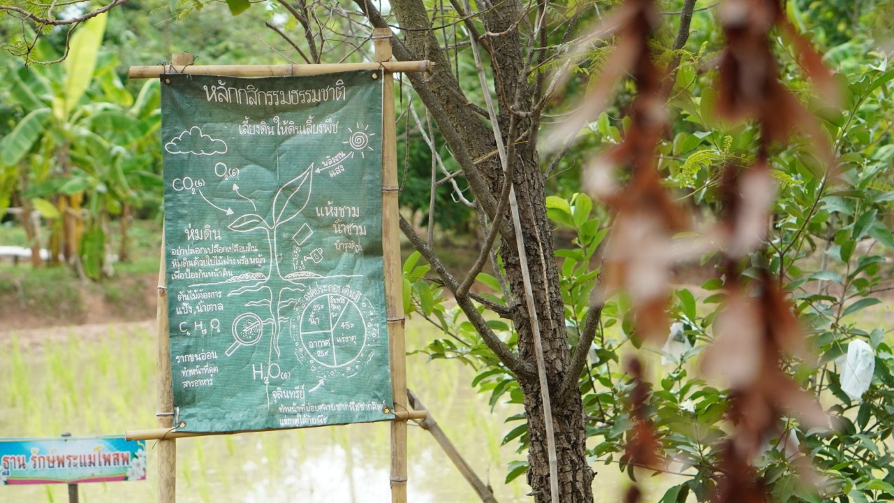 พช.ขอนแก่น : ร่วมจัดทำสกุ๊ปรายงานผลสำเร็จการดำเนินโครงการพัฒนาศูนย์เรียนรู้ทฤษฎีใหม่ รูปแบบ “โคก หนอง นา” ณ ศูนย์เรียนรู้ฯ “กฤษณา โคก หนองนา โมเดล” บ้านหนองดู่ หมู่ที่ 12 ตำบลในเมือง อำเภอเวียงเก่า จังหวัดขอนแก่น