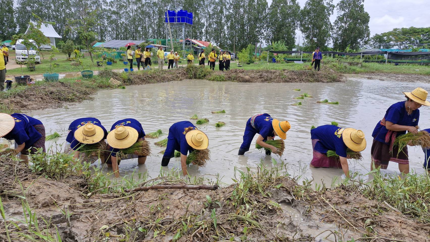 พช.ขอนแก่น : ร่วมโครงการปวงประชารมพลังร่วมใจรักษ์แหล่งน้ำเฉลิมพระเกียรติพระบทสมเด็จพระเจ้าอยู่หัว เนื่องในโอกาสพระราชพิธีมหามงคลเฉลิมพระชมพรรษา 6 รอบ 28 กรกฎาคม 2567