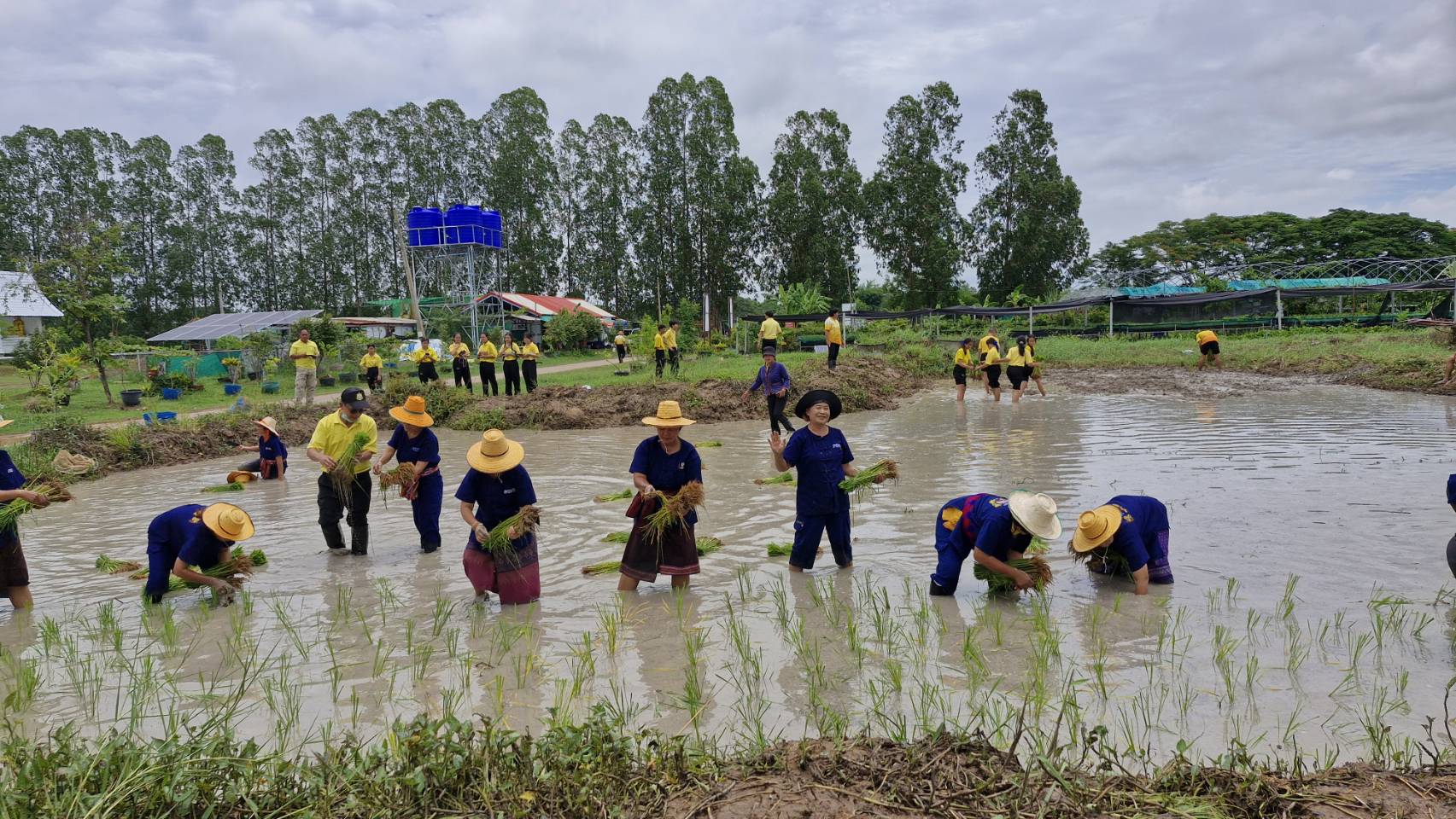 พช.ขอนแก่น : ร่วมโครงการปวงประชารมพลังร่วมใจรักษ์แหล่งน้ำเฉลิมพระเกียรติพระบทสมเด็จพระเจ้าอยู่หัว เนื่องในโอกาสพระราชพิธีมหามงคลเฉลิมพระชมพรรษา 6 รอบ 28 กรกฎาคม 2567