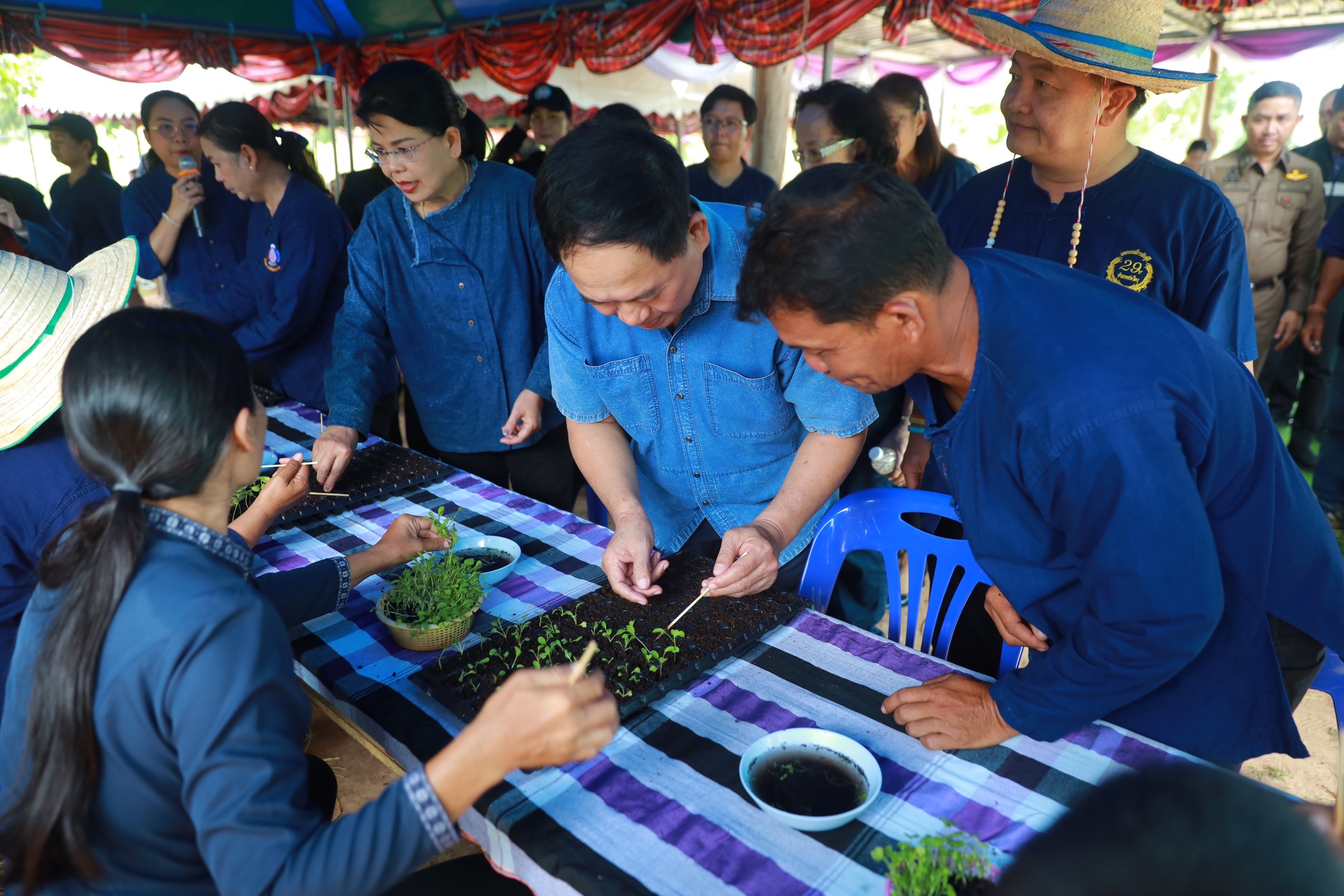 จังหวัดขอนแก่น : จัดกิจกรรมทางนี้มีผล ผู้คนรักกัน น้อมนำแนวพระราชดำริฯ สู่ปฏิบัติการปลูกผักสวนครัวเพื่อสร้างความมั่นคงทางอาหารอย่างยั่งยืน ในพื้นที่ อำเภอหนองสองห้อง