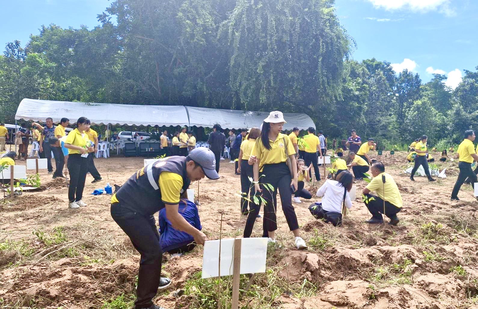 พช. ขอนแก่น ร่วมกิจกรรมโครงการปลูกต้นไม้ เฉลิมพระเกียรติพระบาทสมเด็จพระเจ้าอยู่หัว เนื่องในโอกาสพระราชพิธีมหามงคลเฉลิมพระชนมพรรษา 6 รอบ 28 กรกฎาคม 2567