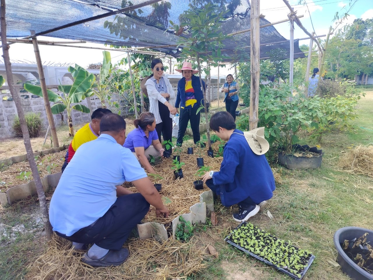จังหวัดขอนแก่น : ดำเนินกิจกรรม “ผู้นำต้องทำก่อน” ตามการน้อมนำแนวพระราชดำริของสมเด็จพระกนิษฐาธิราชเจ้า กรมสมเด็จพระเทพรัตนราชสุดาฯ สยามบรมราชกุมารี สู่ปฏิบัติการปลูกผักสวนครัวเพื่อสร้างความมั่นคงทางอาหร ประจำปีงบประมาณ พ.ศ. 2568