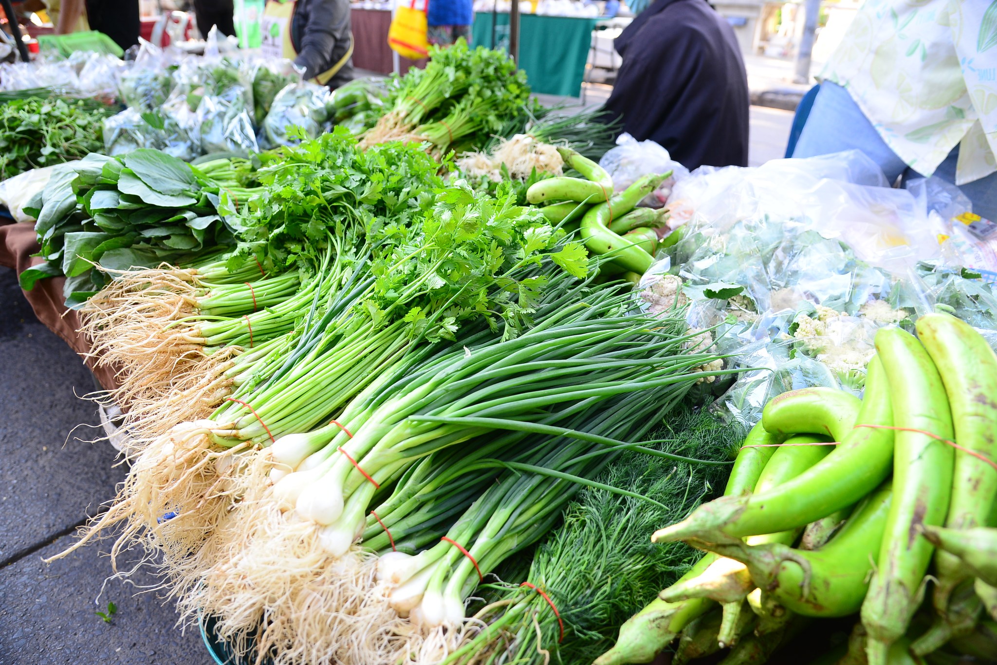 พช.ขอนแก่น : ร่วมงาน “ครบรอบ 10 ปี ตลาดสีเขียวขอนแก่น กับการก้าวสู่อนาคตของเมืองขอนแก่น”