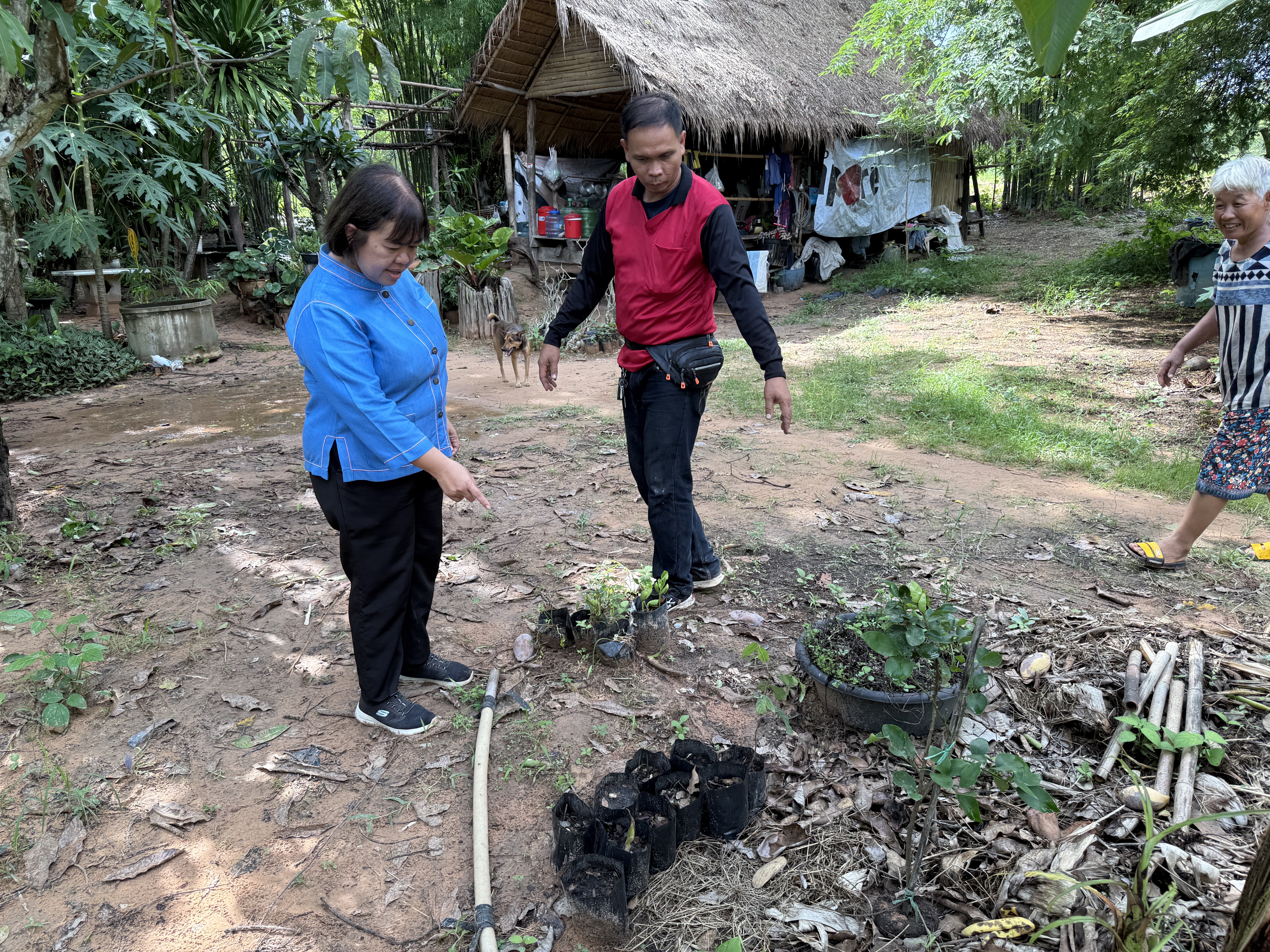 พช.ขอนแก่น : ลงพื้นที่ติดตาม ตรวจเยี่ยม ให้กำลังใจครัวเรือนแปลงขยายผล การจัดทำแปลงอนุรักษ์พันธุกรรมพืช ตามโครงการ สนองพระราชดำริโครงการอนุรักษ์พันธุกรรมพืชอันเนื่องมาจากพระราชดำริสมเด็จพระเทพรัตนสุดาฯสยามบรมราชกุมารี (อพ.สธ.)