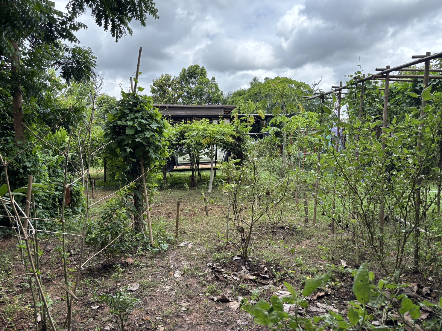 พช.ขอนแก่น : ลงพื้นที่ร่วมกับสำนักงานพัฒนาชุมชนอำเภอหนองเรือ เยี่ยมชมศูนย์เรียนรู้ฯโคก หนอง นา ของนางทัศนีย์ หีบแก้ว บ้านโนนทัน อำเภอหนองเรือ จังหวัดขอนแก่น