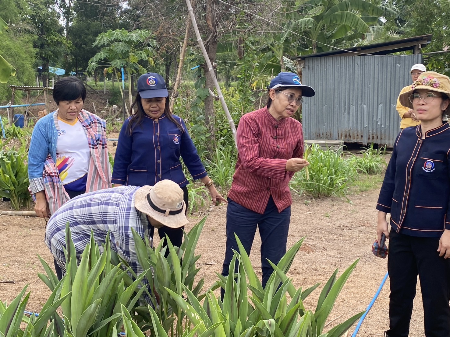 พช.ขอนแก่น : การพิจารณาคัดสรรกิจกรรมพัฒนาชุมชนดีเด่น ระดับอำเภอ ประจำปี 2568 และการประกวดยกระดับแปลง โคก หนอง นา เป้าหมาย IPA (กลุ่มโซนอำเภอที่ 1)